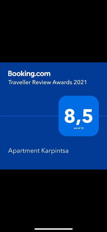 Apartment Karpintsa Lwów Zewnętrze zdjęcie