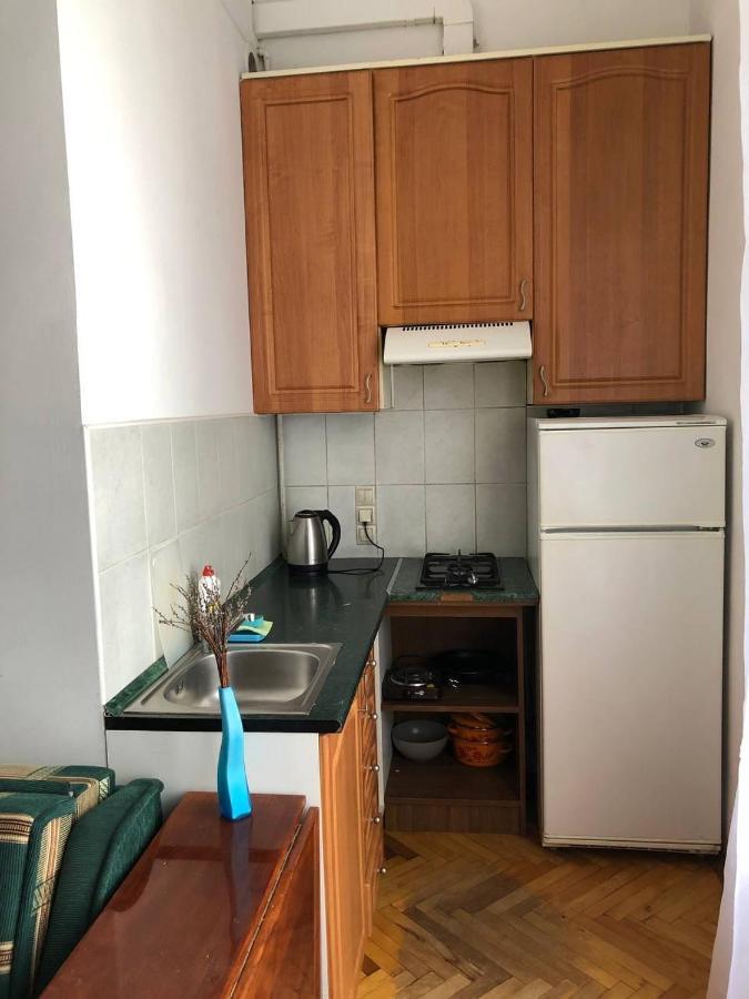 Apartment Karpintsa Lwów Zewnętrze zdjęcie